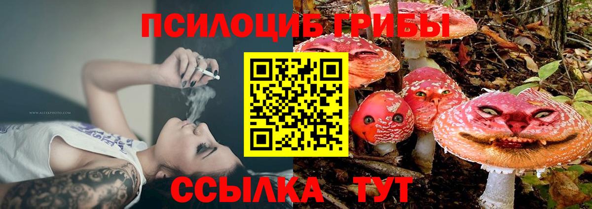 Галлюциногенные грибы Magic Shrooms  Псилоцибиновые грибы MAGIC MUSHROOMS  Кемерово 